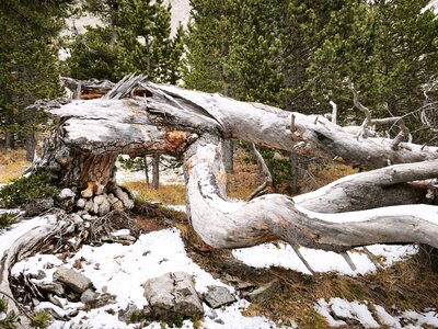 Font-Sancte, font-sancte 20251106  24 