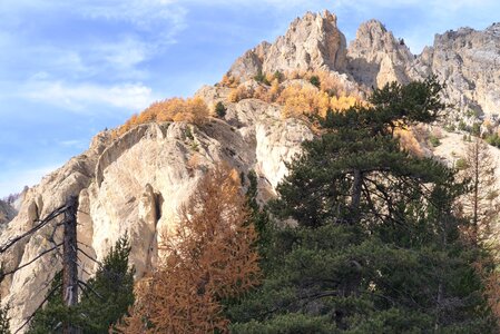 Font-Sancte, font-sancte 20251106  42 