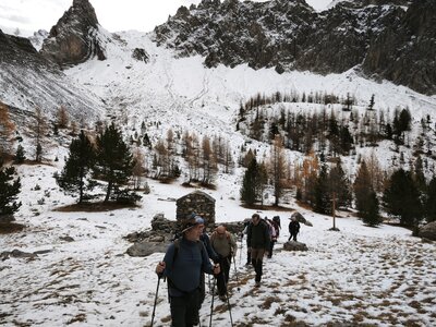 Font-Sancte, font-sancte 20251106  61 