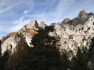 Font-Sancte, font-sancte 20251106  52 