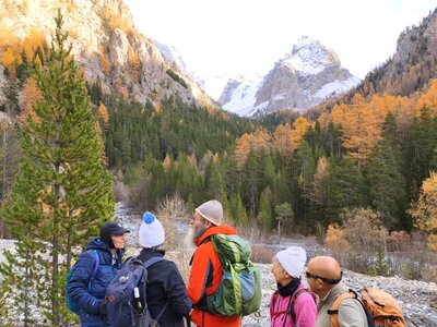 Font-Sancte, font-sancte 20251106  46 