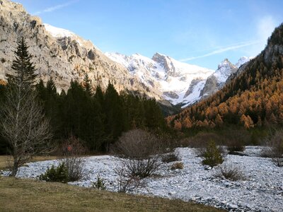 Font-Sancte, font-sancte 20251106  49 