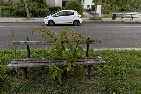 @fmbdx@piaille.fr 2025, Allée Jean Giono, Bordeaux