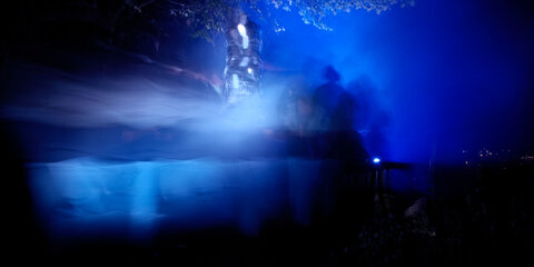 @fmbdx@piaille.fr 2025, La nuit verte, Parc de l'ermitage, Lormont