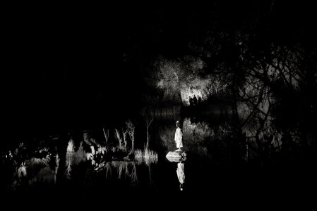 @fmbdx@piaille.fr 2025, La nuit verte, Parc de l'ermitage, Lormont