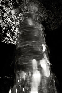 @fmbdx@piaille.fr 2025, La nuit verte, Parc de l'ermitage, Lormont