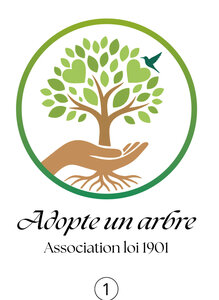 Adopte un arbre, A1