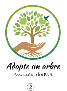 Adopte un arbre, A2