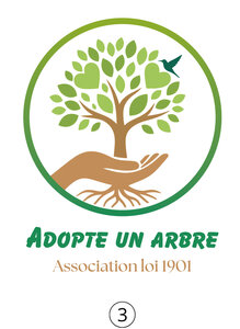 Adopte un arbre, A3