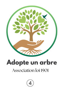 Adopte un arbre, A4