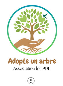 Adopte un arbre, A5