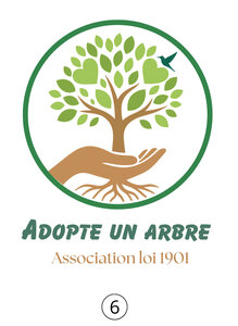 Adopte un arbre, A6