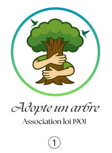 Adopte un arbre, B1