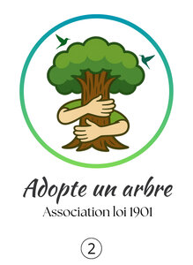 Adopte un arbre, B2