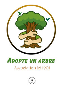 Adopte un arbre, B3