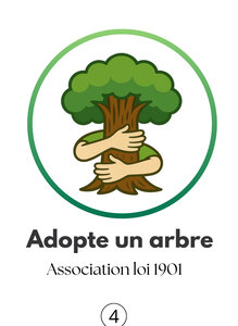Adopte un arbre, B4