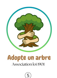 Adopte un arbre, B5