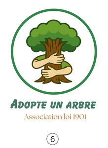Adopte un arbre, B6