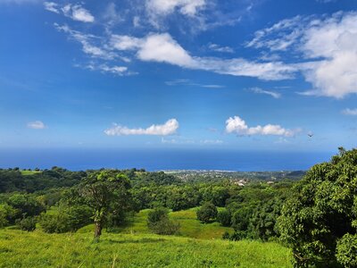 Gite Annick à Vieux Habitants, 20251028_101323