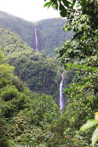 Gite Annick à Vieux Habitants, chutes du Carbet_049A3759