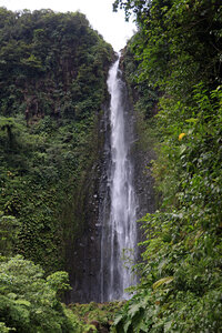 Gite Annick à Vieux Habitants, chutes du Carbet_049A3771