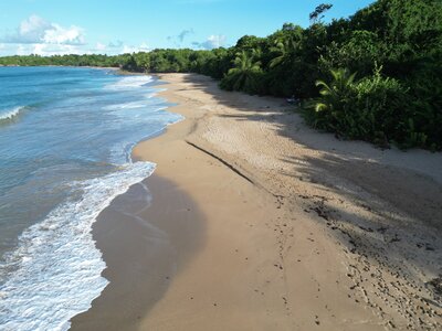 Gite Annick à Vieux Habitants, Deshaies Plage de Grande Anse_DJI_0330