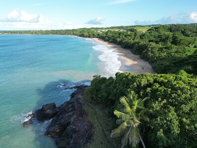 Gite Annick à Vieux Habitants, Deshaies Plage de Grande Anse_DJI_0334