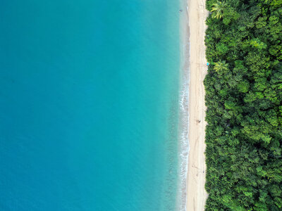 Gite Annick à Vieux Habitants, Deshaies Plage de Grande Anse_DJI_0347_fond