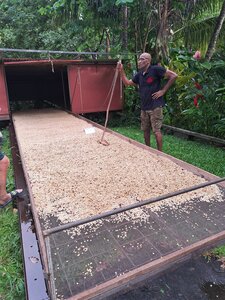 Gite Annick à Vieux Habitants, Domaine Vanibel_20251028_161001