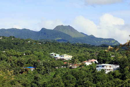 Gite Annick à Vieux Habitants, Soufriere_049A4113