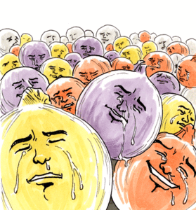 Nespanini, 5 Oignons