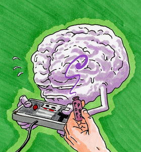 Nespanini, 7 Epreuves