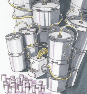 Nespanini, 11 Bière