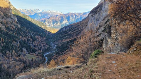 13-11-25 vallon de Fouran, 20251113_150055