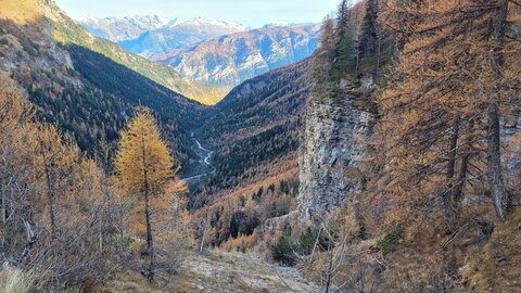 13-11-25 vallon de Fouran, 20251113_145754