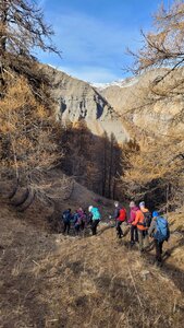 13-11-25 vallon de Fouran, 20251113_143234