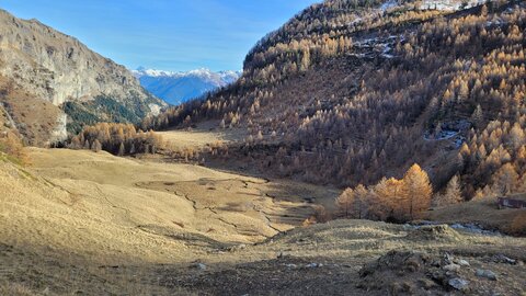 13-11-25 vallon de Fouran, 20251113_141729