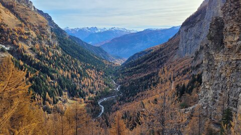 13-11-25 vallon de Fouran, 20251113_105001