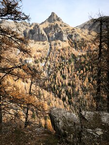 vallon du Fouran, vallon du Fouran 20251113  2 