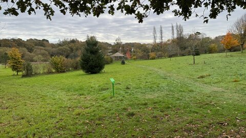 Marcher en pleine conscience (participants et paysages), 2025-11-03 10.21.07