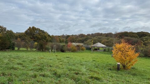 Marcher en pleine conscience (participants et paysages), 2025-11-03 10.21.04