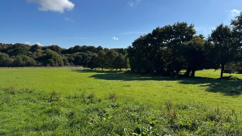 Marcher en pleine conscience (participants et paysages), 2025-11-29 10.35.10