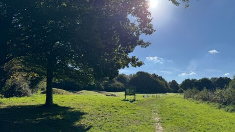 Marcher en pleine conscience (participants et paysages), 2025-11-29 10.45.10