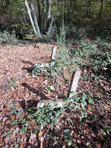 BOUDUCONNE, 20251116_130552