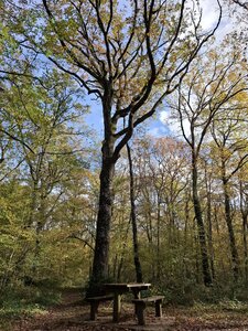 BOUDUCONNE, 20251116_131013