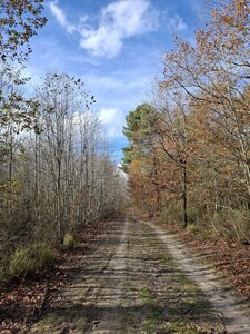 BOUDUCONNE, 20251116_135923