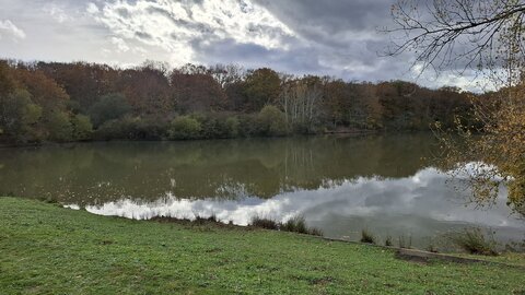 BOUDUCONNE, 20251116_141627