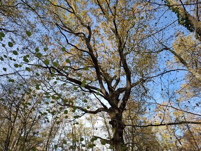 BOUDUCONNE, 20251116_144023