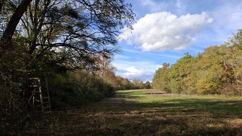 BOUDUCONNE, 20251116_144957