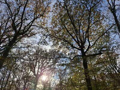 BOUDUCONNE, 20251116_151004